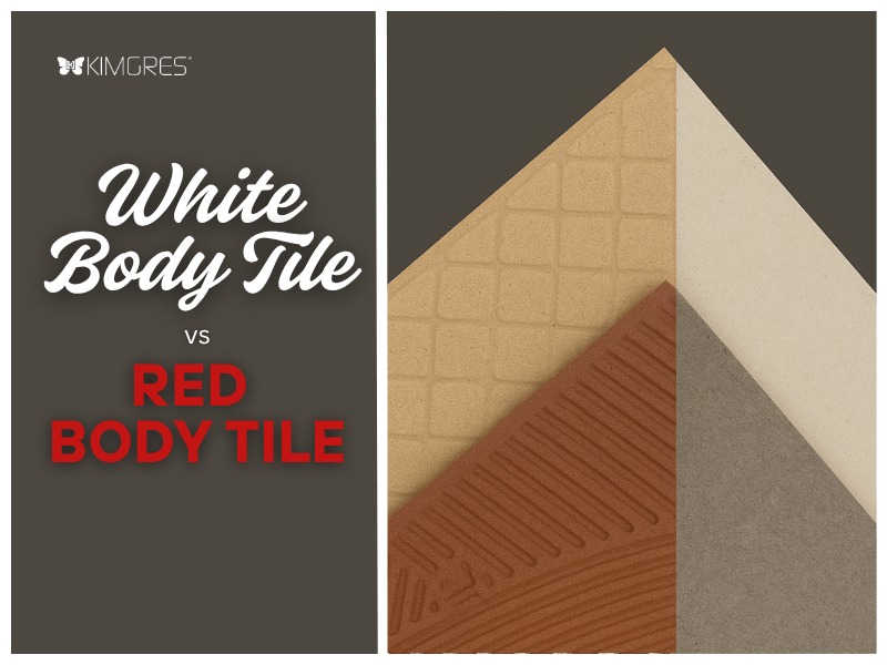 Beyond the Surface: Understanding White Body vs Red Body