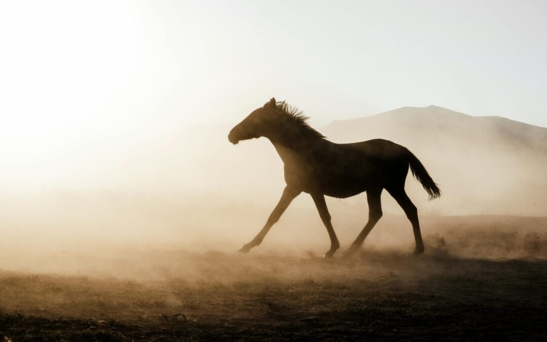 The Fire Horse in Design — Balancing Energy, Warmth, and Calm
