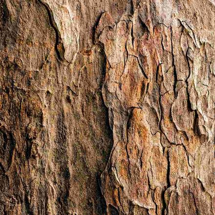Wood-look porcelain